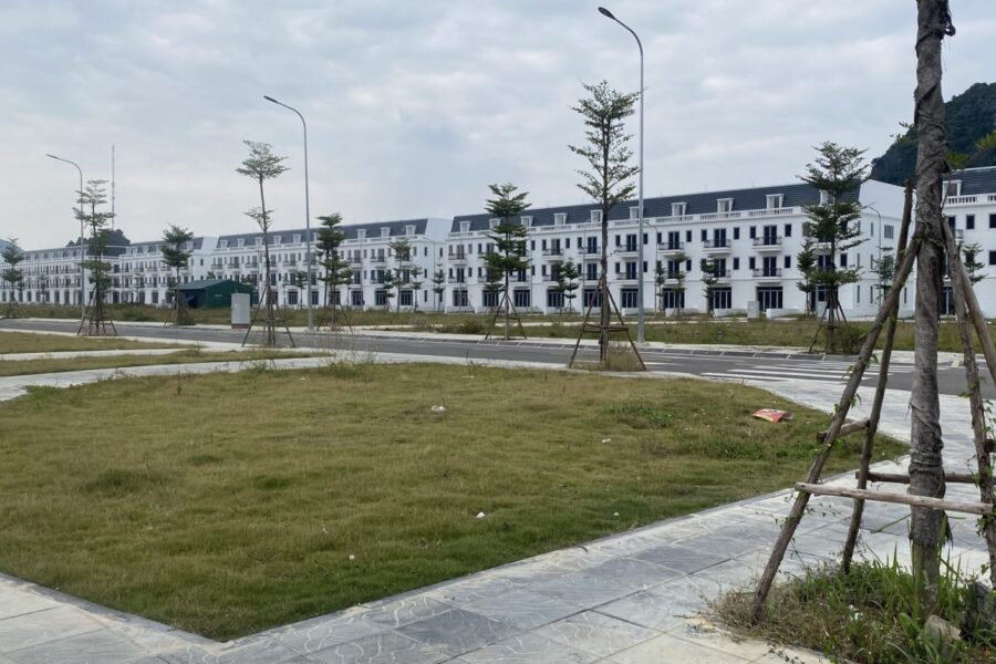 yen-thuy-green-bay-2